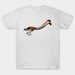 Superb Lyrebird T-Shirt